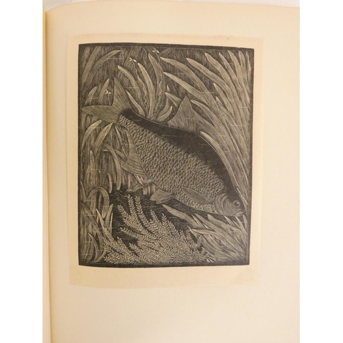 83 - WALTON I. & COTTON C.  The Compleat Angler. Mounted wood eng. frontis & illus. by ... 