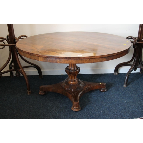 344 - William IV rosewood tilt top dining table, the oval top supported on baluster and petal column, term... 