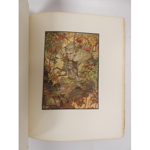 219 - DETMOLD EDWARD J.  The Fables of Aesop. Ltd. ed. 599/750 signed by Detmold. Tipped in col. plates. Q... 