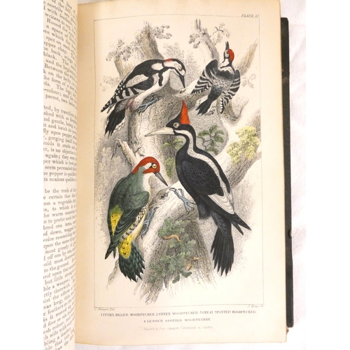 244 - GOLDSMITH OLIVER.  A History of the Earth & Animated Nature. 2 vols. Frontis & man... 