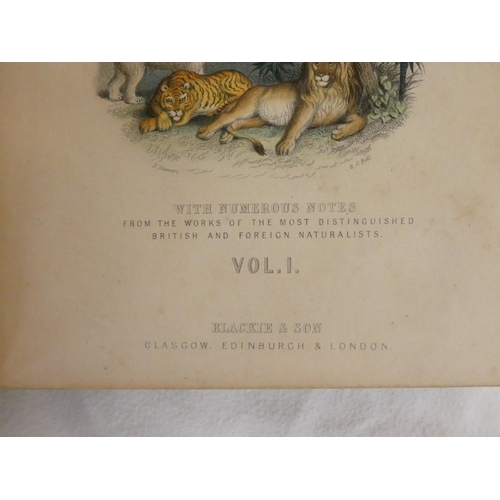 244 - GOLDSMITH OLIVER.  A History of the Earth & Animated Nature. 2 vols. Frontis & man... 