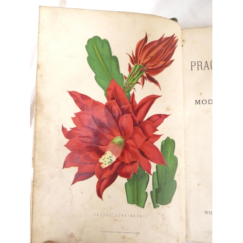 259 - ANDERSON JAMES.  The New Practical Gardener. Well worn cond. but chromolitho plates. Quarto, n.d.; a... 