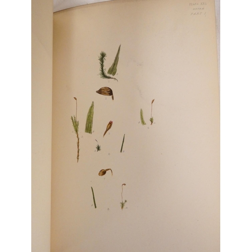 271 - BRITTEN JAMES.  European Ferns. Col. frontis & plates & other illus. Quarto. Worn half calf,... 