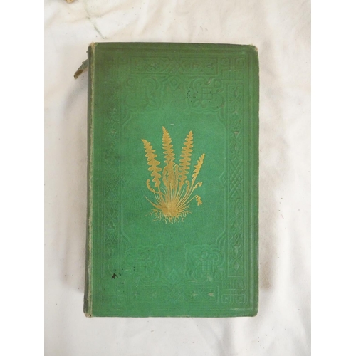 271 - BRITTEN JAMES.  European Ferns. Col. frontis & plates & other illus. Quarto. Worn half calf,... 