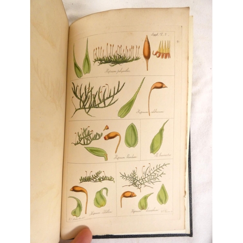 272 - HOOKER W. J. & TAYLOR T.  Muscologia Britannica, Containing the Mosses of Great Britain & Ir... 