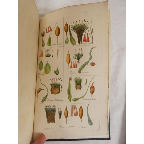 272 - HOOKER W. J. & TAYLOR T.  Muscologia Britannica, Containing the Mosses of Great Britain & Ir... 