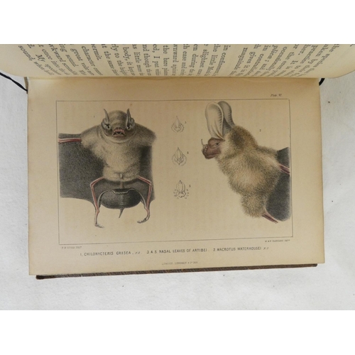 274 - GOSSE PHILIP H.  A Naturalist's Sojourn in Jamaica. Litho frontis & 7 litho plates, some ha... 