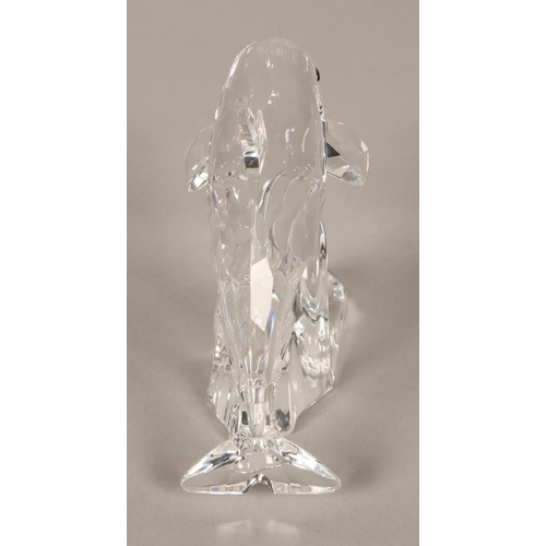 205 - Swarovski whale, 10cm, boxed.