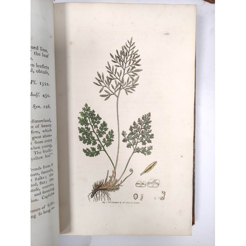 202 - SOWERBY JAMES.  English Botany or Coloured Figures of British Plants With Their Essential Characters... 