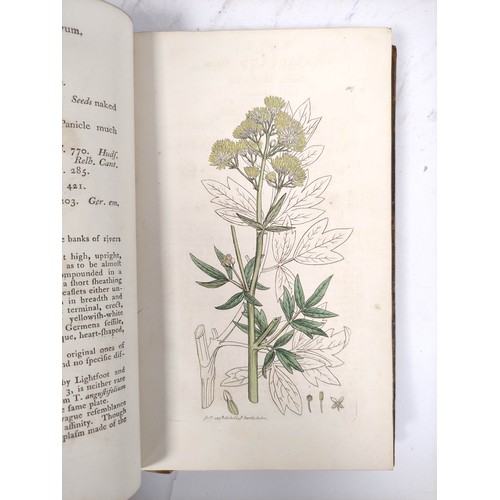 202 - SOWERBY JAMES.  English Botany or Coloured Figures of British Plants With Their Essential Characters... 