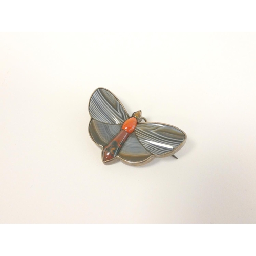 113 - Scottish 'pebble' butterfly brooch with chalcedony and jasper in silver.