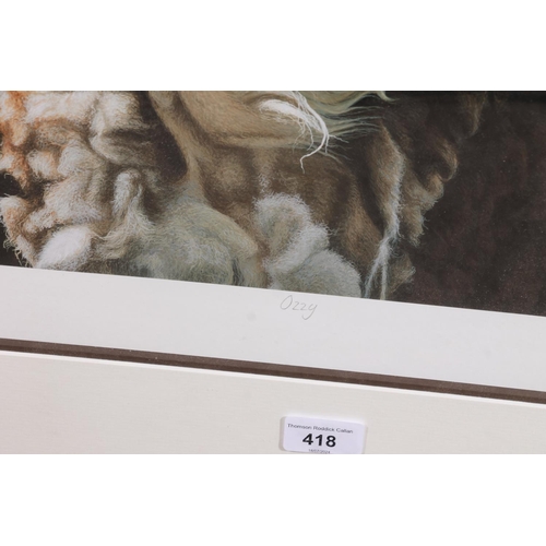 418 - PAUL JAMES, Ozzy, study of a sheep, print, pencil signed lower right, limited edition 20/295, 60cm x... 