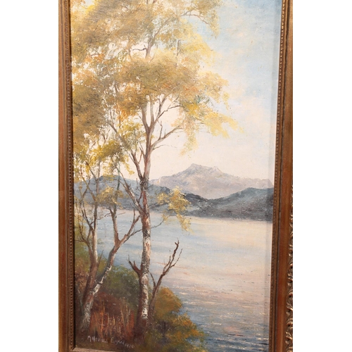 456 - M NEVILLE ELSON, Dundonnell Bridge Wester Ross, oil painting on board, signed and dated 1981 lower r... 