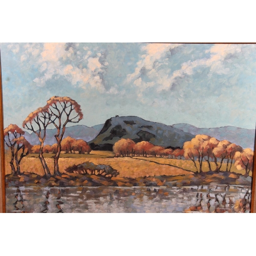 461 - FC (20th century), river landscape with autumnal trees and hills, oil painting on board, signed with... 