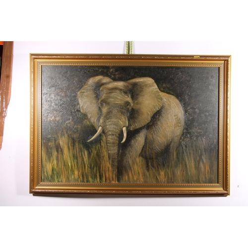 467 - H YOUWOOG? elephant in long grass, oil painting on board, signed indistinctly lower right, 50cm x 75... 