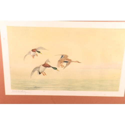 480 - LEON DANCHIN (French 1887-1938), grouse in flight and ducks in flight, a pair of coloured etchings, ... 