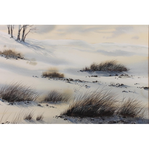 500 - DAVID GRAHAM, Winter Grasses Border Snows 1986, watercolour, signed lower left, 36cm x 50cm, frame 5... 