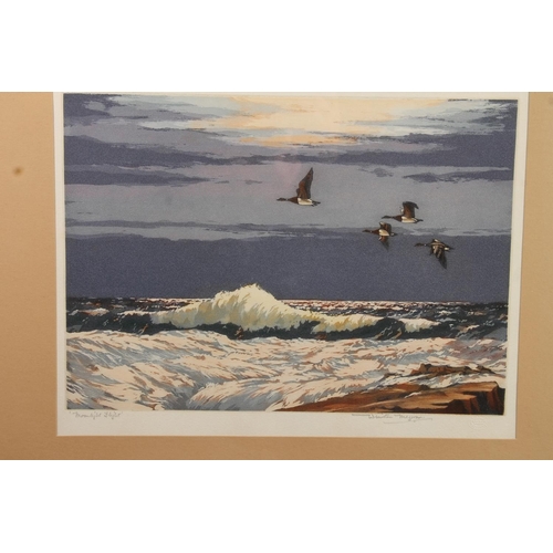 429 - WINSTON MORGAN, Moonlight Flight, coloured print, pencil signed lower right, Warwick Galleries blind... 