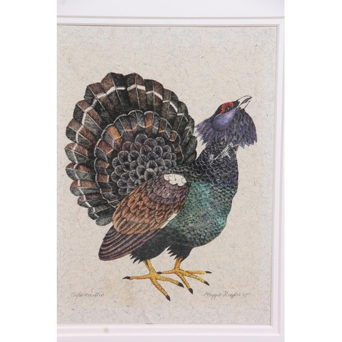 447 - MAGGIE RIEGLER (Scottish 1944-2018), Capercaillie, watercolour, signed and dated '95 lower right, 21... 