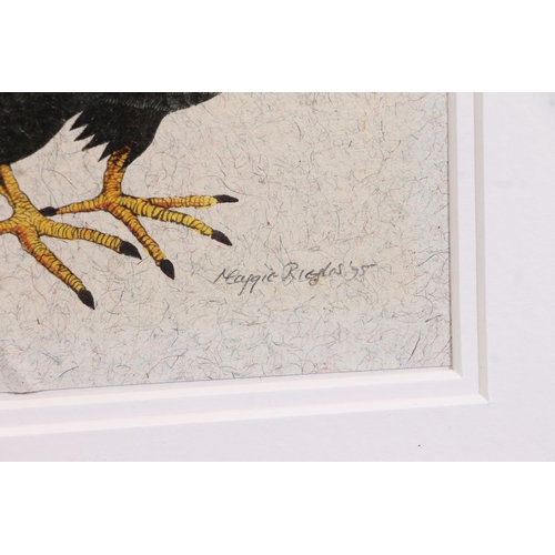 447 - MAGGIE RIEGLER (Scottish 1944-2018), Capercaillie, watercolour, signed and dated '95 lower right, 21... 