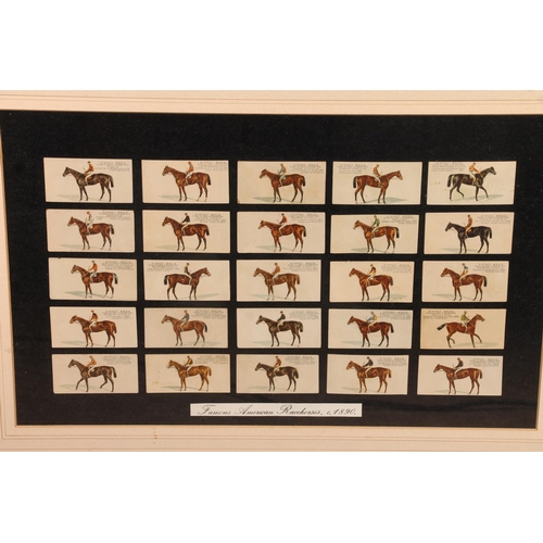 450 - Four framed displays of cigarette cards to include Famous Racehorses 1890 (Kinney Bros), Racehorses ... 