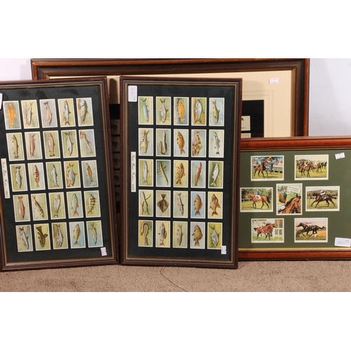 450 - Four framed displays of cigarette cards to include Famous Racehorses 1890 (Kinney Bros), Racehorses ... 