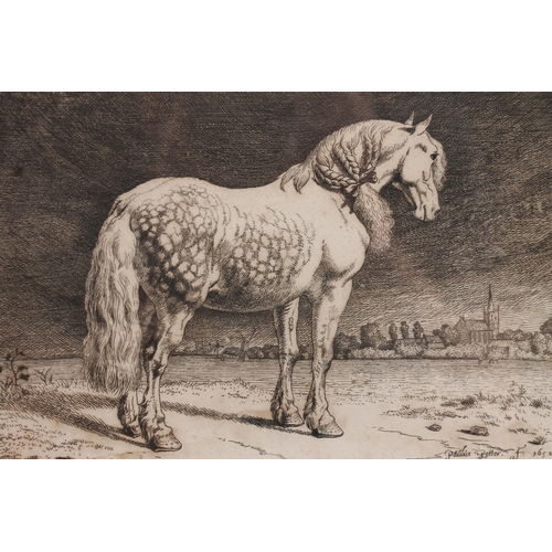 451 - After PAULUS POTTER (Dutch, 1625-1654), horse before a church 1652, etching, signed to the plate low... 