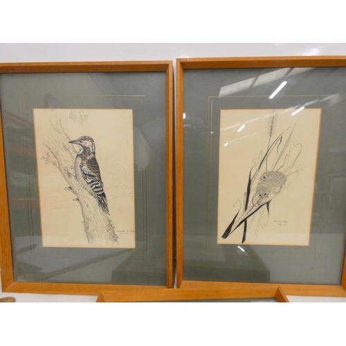 211 - Three vintage 1978 Christine A Page pen and ink drawings including lesser spotted woodpecker, field ... 