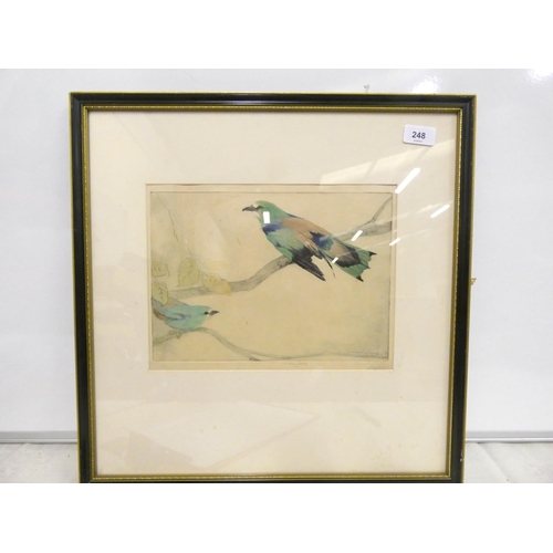 248 - G. Vernon Stokes pencil signed picture of a bird of paradise 23cm x 30cm.