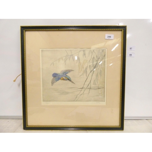 249 - George Vernon Stokes coloured etching of a kingfisher in flight signed in pencil.