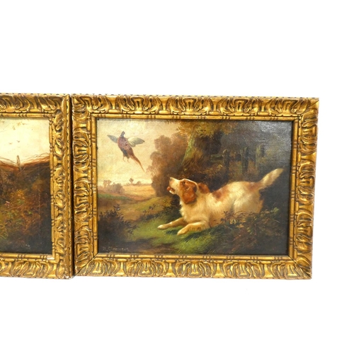 253 - Robert Cleminson (Scottish 1864-1903)Gun Dogs chasing pheasantsPair of oils on canvas.Signed R. Clem... 