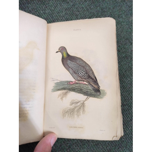 270 - MAY JOHN B.  The Hawks of North America. Col. plates. Small quarto. Orig. green cloth. New... 