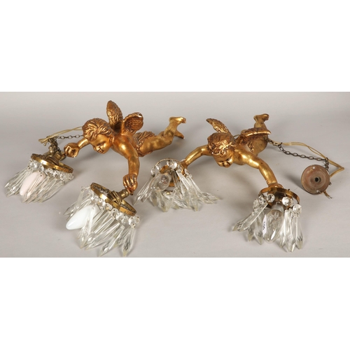 503 - Pair of cherub chandeliers