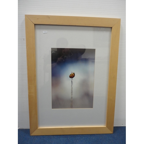 18 - Contemporary abstract oil, print and a photograph collage.&nbsp; (3)