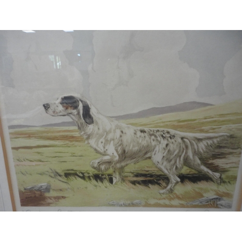 34 - After Reuben Ward BinksGordon Setter and an English SetterPencil signed prints, 21cm x 27cm.... 