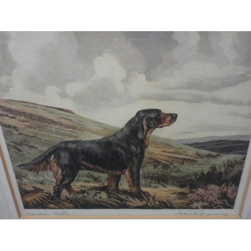 34 - After Reuben Ward BinksGordon Setter and an English SetterPencil signed prints, 21cm x 27cm.... 