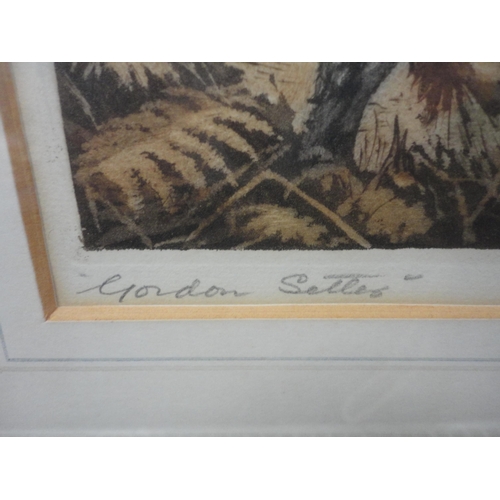 34 - After Reuben Ward BinksGordon Setter and an English SetterPencil signed prints, 21cm x 27cm.... 