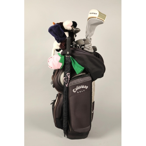 480 - Wilson ladies' golf clubs in Callaway bag (with accessories)