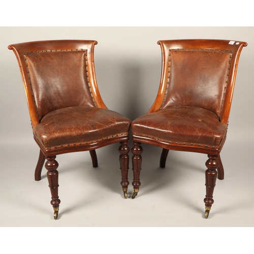 561 - Six Victorian leather upholstered mahogany dining chairs raised on casters