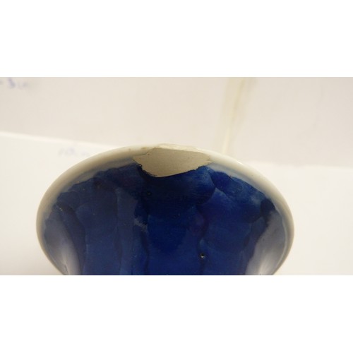 195 - Kangxi-style blue and white prunus decorated vase.