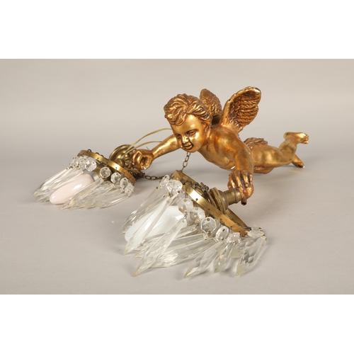 503 - Pair of cherub chandeliers