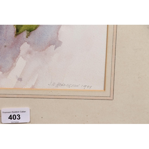 533 - JOHN D HENDERSON, still life botanical study, watercolour, signed and dated 1988 lower right, 30cm x... 