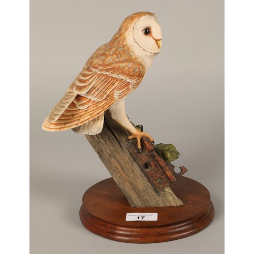 17 - Border Fine Arts RB15 Barn Owl figurine