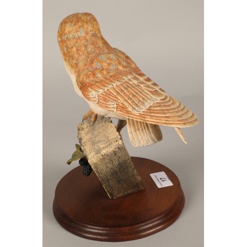 17 - Border Fine Arts RB15 Barn Owl figurine