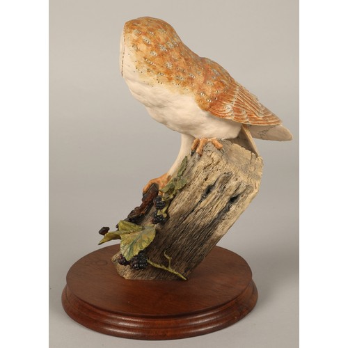 17 - Border Fine Arts RB15 Barn Owl figurine