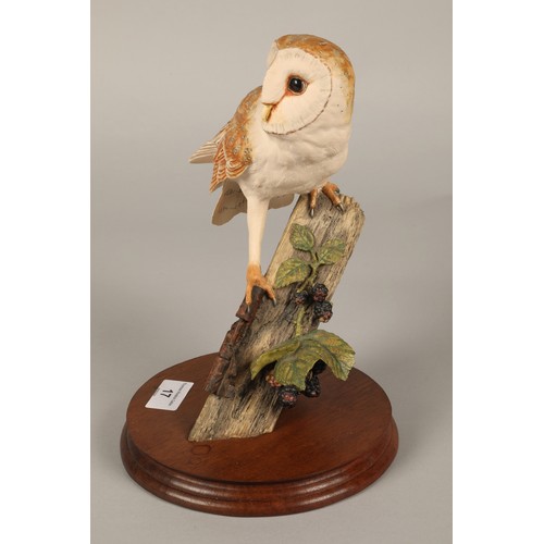 17 - Border Fine Arts RB15 Barn Owl figurine