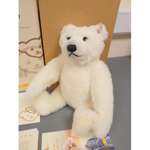 73 - Steiff. Polar Ted, 2005, white tag 661747, produced exclusively for UK and Ireland in white mohair w... 