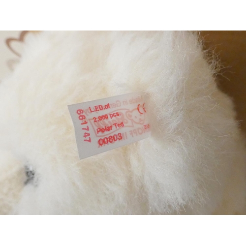 73 - Steiff. Polar Ted, 2005, white tag 661747, produced exclusively for UK and Ireland in white mohair w... 