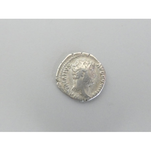 227 - Roman Imperial Coinage. Hadrian AR Denarius Obv Bare head right, HADRIANVS AVG COS III P P. / Rev AE... 