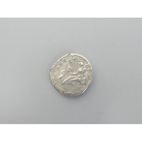 227 - Roman Imperial Coinage. Hadrian AR Denarius Obv Bare head right, HADRIANVS AVG COS III P P. / Rev AE... 